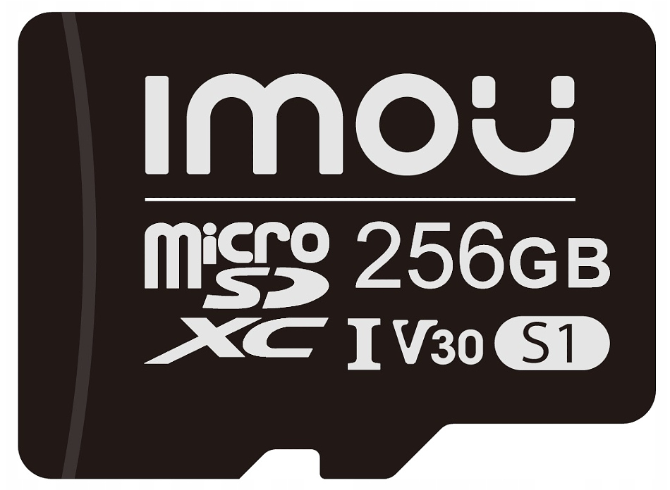 MEMORY CARD ST2-256-S1 microSD UHS-I, SDXC 256 GB IMOU - Memory Cards -  Delta