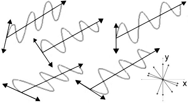 Wave polarisation - Delta
