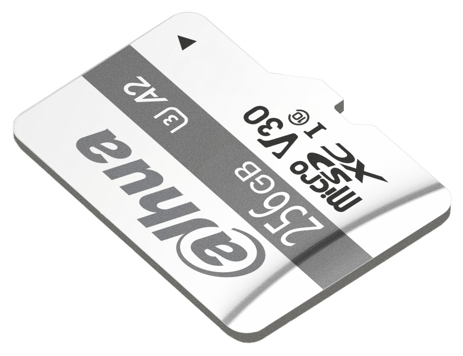MEMORY CARD TF-P100/256GB microSD UHS-I, SDXC 256 GB D - Memory Cards -  Delta